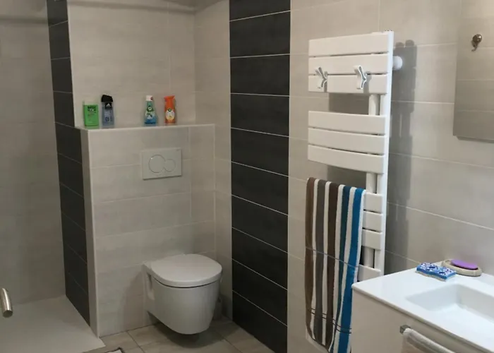 2 Terrasses Entre Et Montagne T2 De 52m2 Avec Wifi 4*